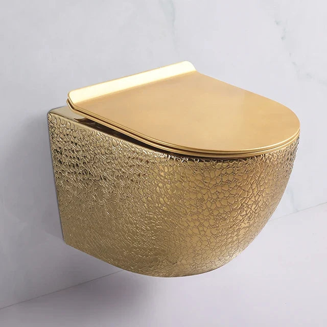 Wall Hung Toilet
