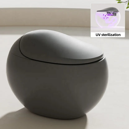 Modern Smart Toilet Bidet Grey Round S-Trap Automatic Remote Control and AI Voice Control with Heated Seat and Seat Heating
