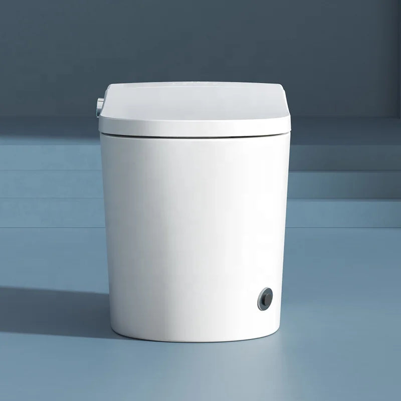 Infrared Electronic One Piece Smart Bidet Intelligent Toilet Automatic Ceramic S-trap Floor Mounted Remote Control
