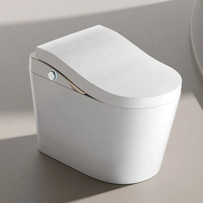High-End Ergonomic Smart Bidet Toilet Gold Floor Mounted Tankless Electronic Ceramic Intelligent WC with Remote Control