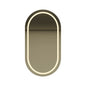 Modern Design Smart Wall Mirror Arch Shape with LED Illuminated Touch Control Moisture Proof for Home Apartment Villa Bathroom