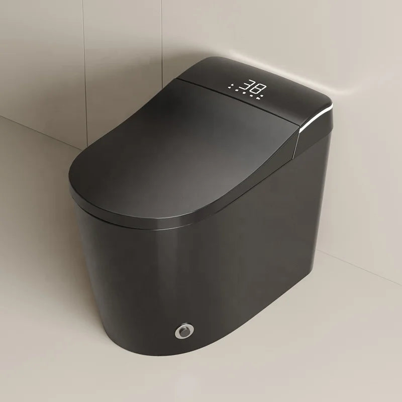 New Design Warm Heating Ceramic Automatic WC Electronic Control Intelligent Toilet Black Smart Toilet
