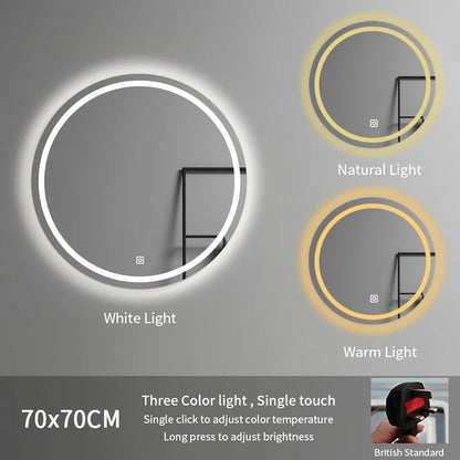 70cm Adjustable Color Temperature Modern Illuminated Bathroom Mirror LED Moisture Proof Smart Mirror for Hotel Home Graphic