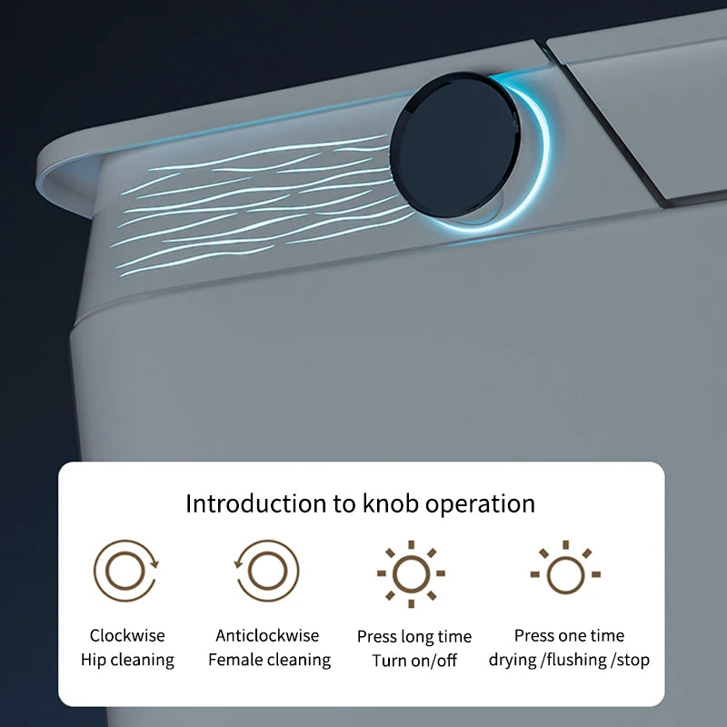 Deluxe Sanitary Ware for Hotel Bathroom Automatic Cover Concealed Tank Remote Control S-trap Dual-Flush Intelligent Smart Toilet