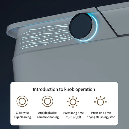 Deluxe Sanitary Ware for Hotel Bathroom Automatic Cover Concealed Tank Remote Control S-trap Dual-Flush Intelligent Smart Toilet