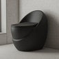Popular One Piece Dual-Flush S-trap Soft Close Seat Modern Elongated Colored Square Toilet Matte Black Bathroom Floor Mounted