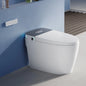Smart Toilet UK Standards Plug Electric Toilette Intelligente Bidet Auto Flush Intelligent Toilet with Water Tank