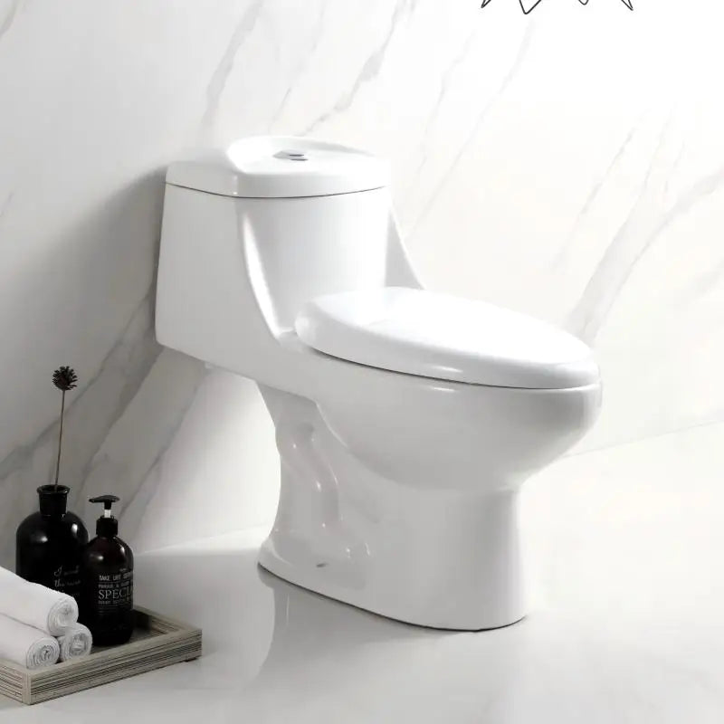 Cheap White Modern Dual-Flush S-Trap One Piece Ceramic Toilet Bowl with Soft Close Toilet Seat