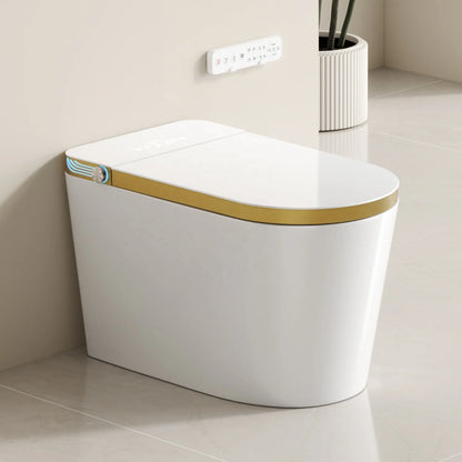 Golden and White Electric Toilet Bidet Intelligent Bathroom Ceramic Automatic Smart Toilet with Remote Control