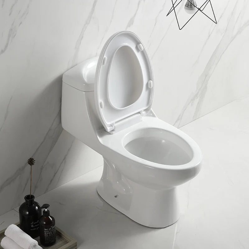 Cheap White Modern Dual-Flush S-Trap One Piece Ceramic Toilet Bowl with Soft Close Toilet Seat