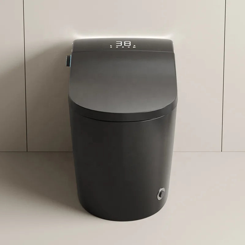 New Design Warm Heating Ceramic Automatic WC Electronic Control Intelligent Toilet Black Smart Toilet
