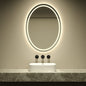 Oval Shaped Modern Intelligent Wall Mounted LED Smart Mirror Silver Lenses 3000-6000K Light Customizable 2-Year Warranty