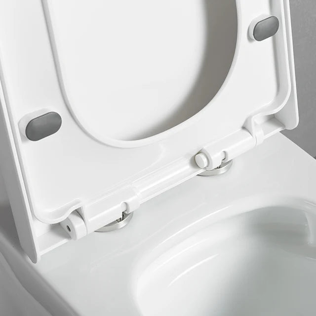 Modern One Piece Elongated Dual-Flush S-Trap Soft Close White Sanitary Ware Ceramic Toilet