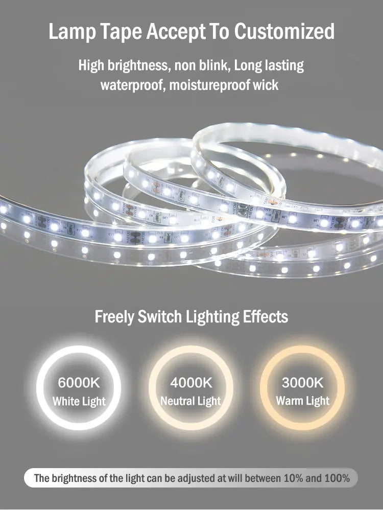 Oval Shaped Modern Intelligent Wall Mounted LED Smart Mirror Silver Lenses 3000-6000K Light Customizable 2-Year Warranty