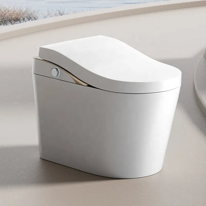 High-End Ergonomic Smart Bidet Toilet Gold Floor Mounted Tankless Electronic Ceramic Intelligent WC with Remote Control
