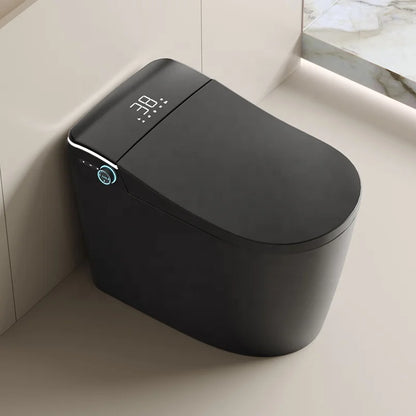 New Design Warm Heating Ceramic Automatic WC Electronic Control Intelligent Toilet Black Smart Toilet
