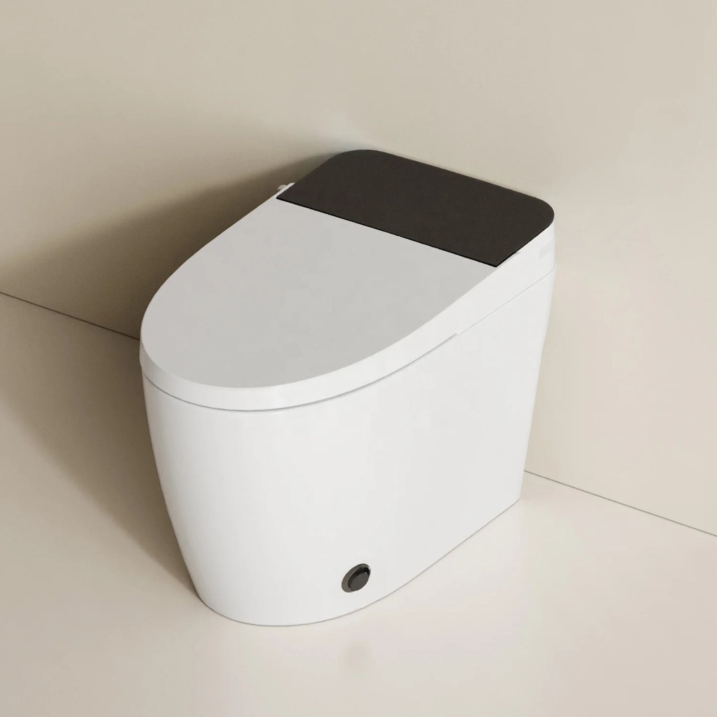 Simple Version Floor Mounted Smart Toilet with Bidet, S-Trap Drainage and Seat Heating