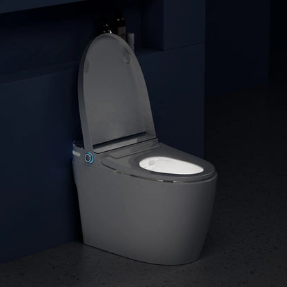 Simple Version Smart Bathroom Electric Bidet Toilet Bowl Ceramic Sanitary WC S-trap Heated Seat Night Light Toilet
