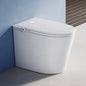 LED Digital One-Piece Smart Toilet with Heated Remote Control Automatic Self-Cleaning, Tankless Intelligent Bidet