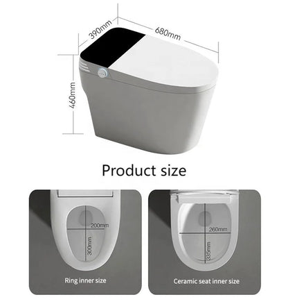 Simple Smart Toilet Sanitary Bidet Toilette Bowl Tankless Electric Automatic Wc Intelligent Toilet for Bathroom