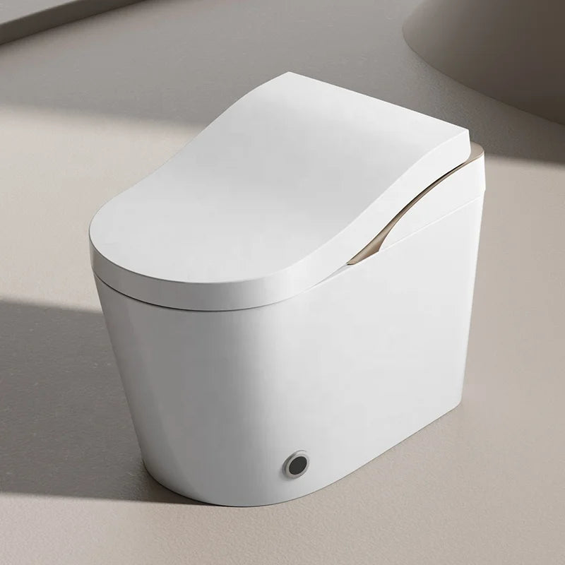 High-End Ergonomic Smart Bidet Toilet Gold Floor Mounted Tankless Electronic Ceramic Intelligent WC with Remote Control