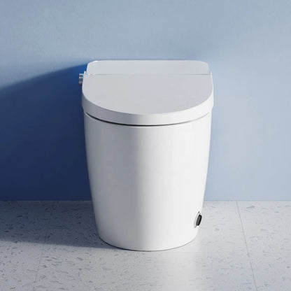 Simple Version Smart Bathroom Electric Bidet Toilet Bowl Ceramic Sanitary WC S-trap Heated Seat Night Light Toilet