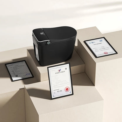 Modern Bathroom Smart Toilet Black Ceramic Automatic Electronic Control Bidet Wc Intelligent Toilet